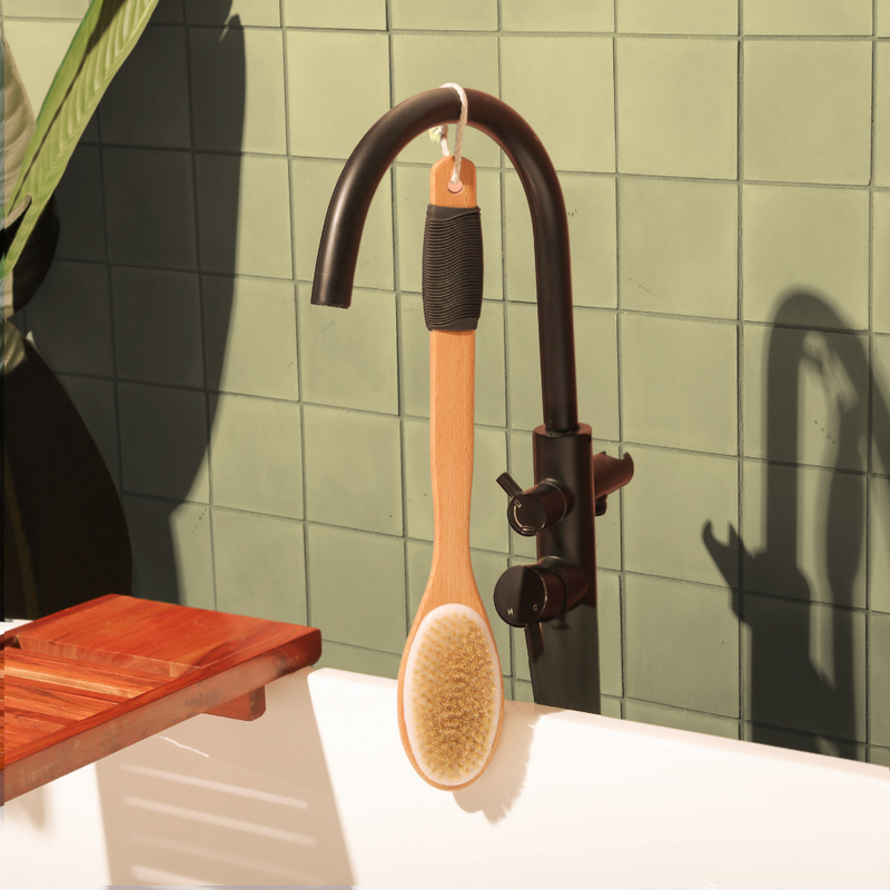 Long Handle Back Brush
