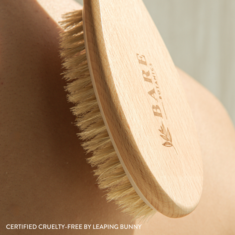 Long Handle Back Brush